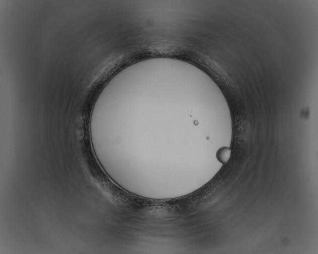 X0000092240738200710051238