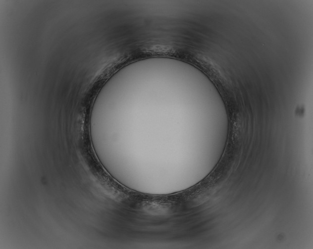 X0000092240739200710051238