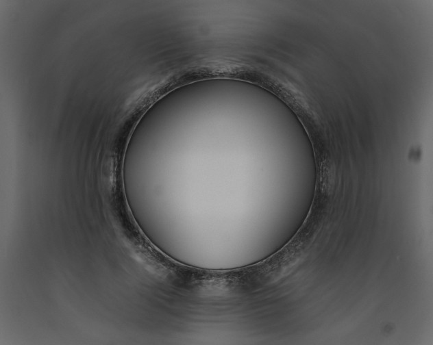 X0000092240740200710051238