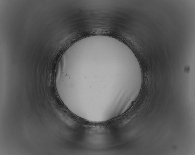 X0000092240741200710051238