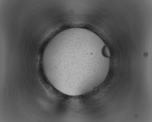 X0000092240742200710051238