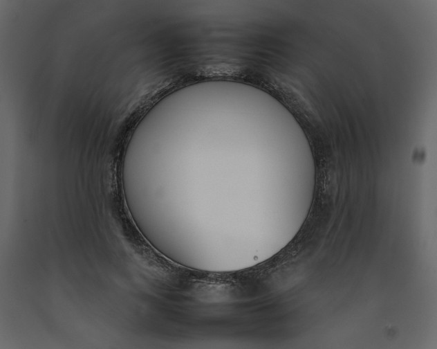 X0000092240743200710051238