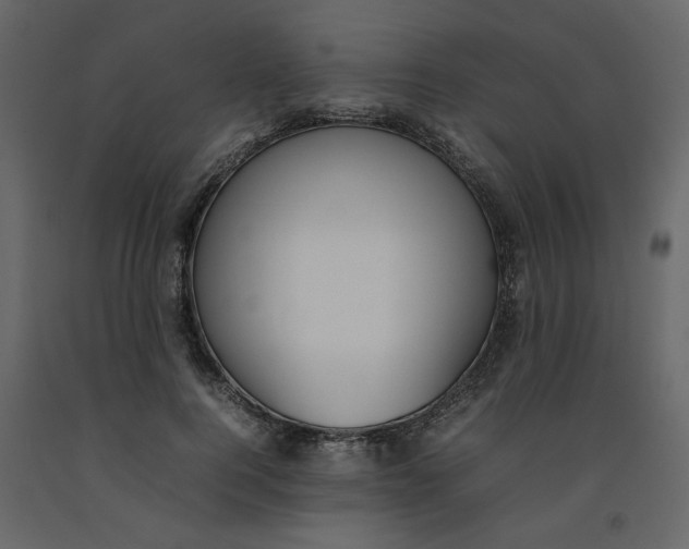 X0000092240744200710051238