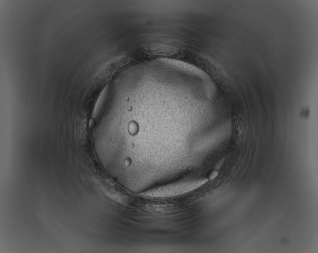 X0000092240745200710051238