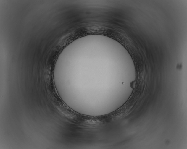 X0000092240749200710051238