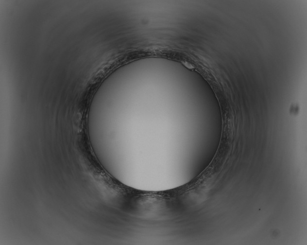 X0000092240750200710051238