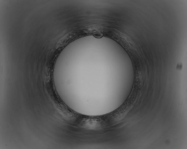 X0000092240751200710051238