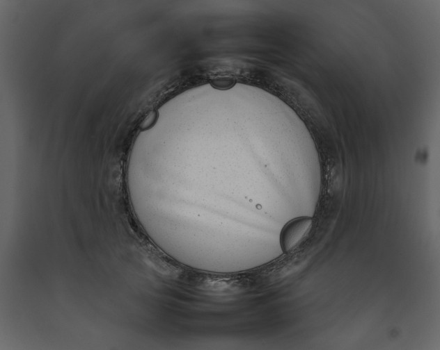 X0000092240753200710051238