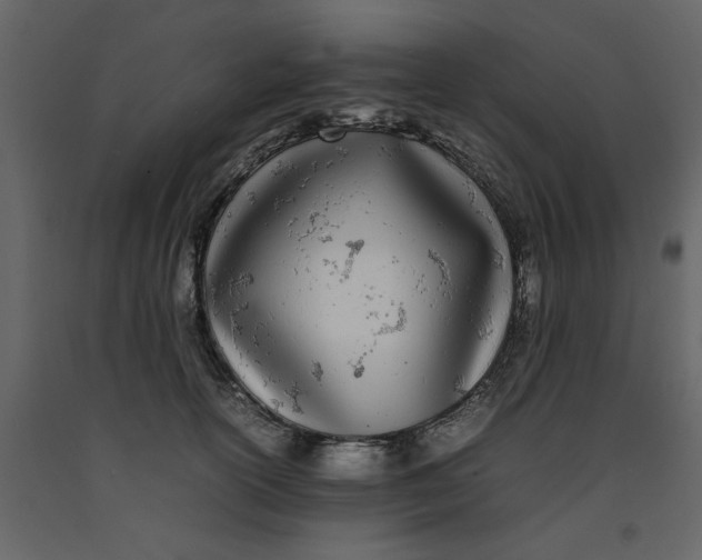 X0000092240754200710051238