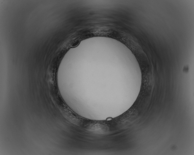 X0000092240755200710051238