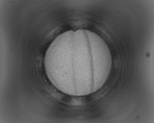 X0000092240757200710051238