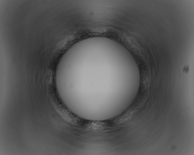 X0000092240758200710051238