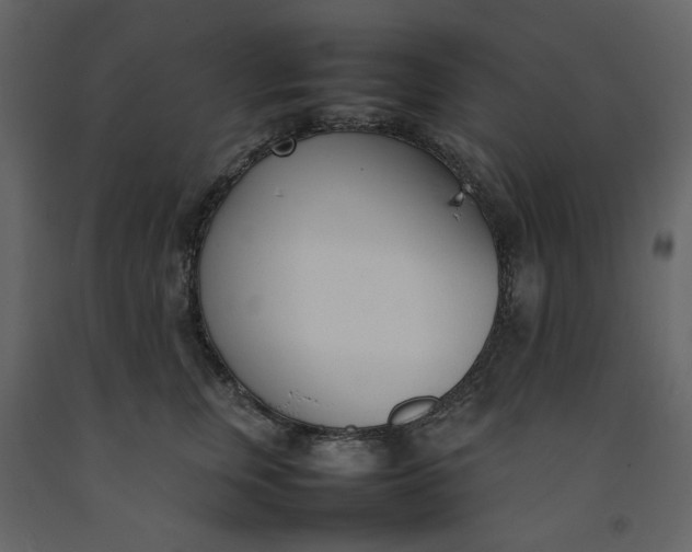 X0000092240759200710051238