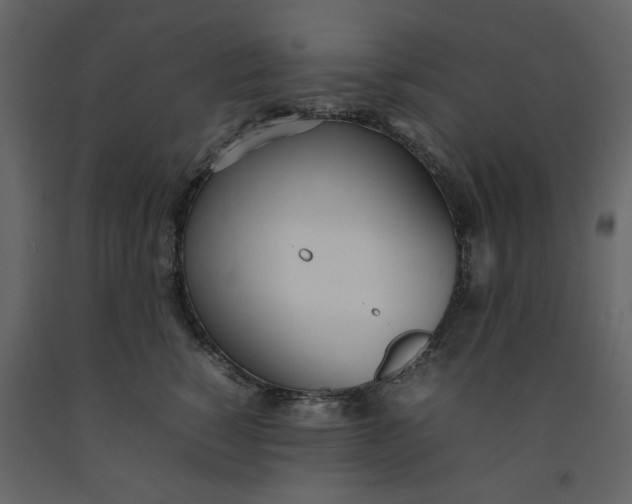 X0000092240760200710051238