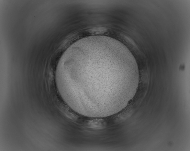 X0000092240761200710051239