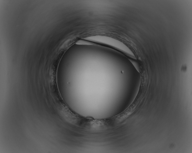 X0000092240762200710051239