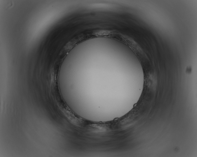 X0000092240763200710051239