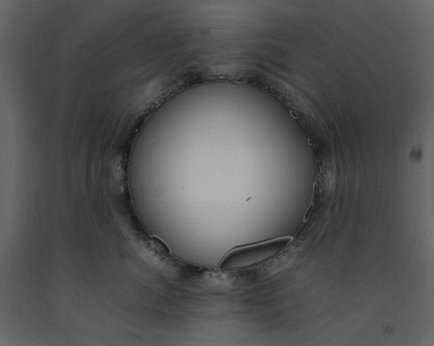 X0000092240764200710051239