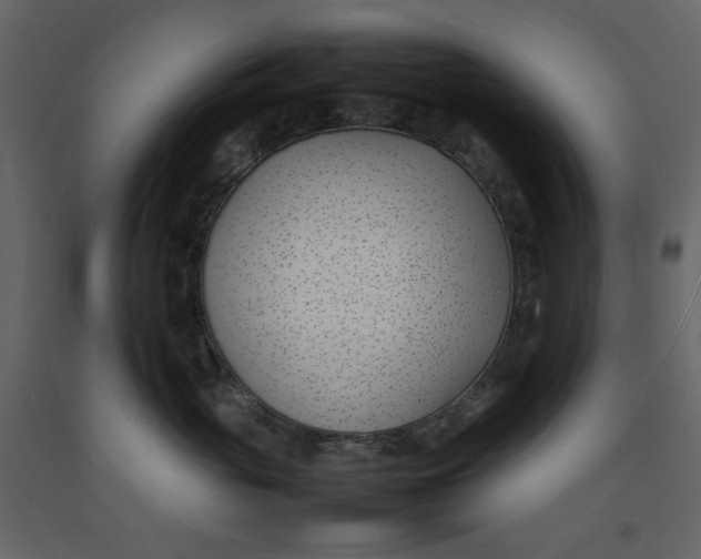 X0000092240765200710051239