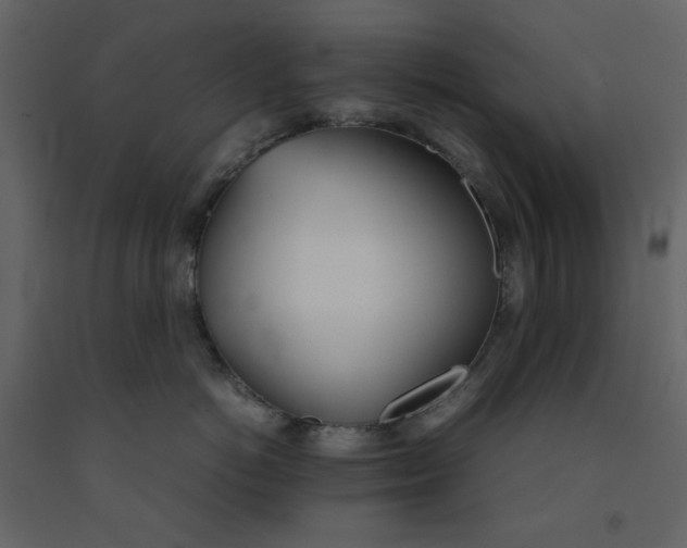 X0000092240766200710051239