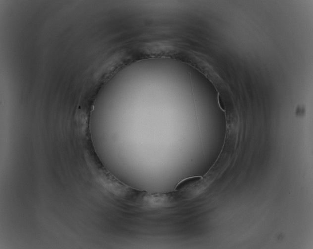 X0000092240767200710051239