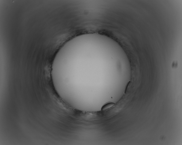 X0000092240768200710051239