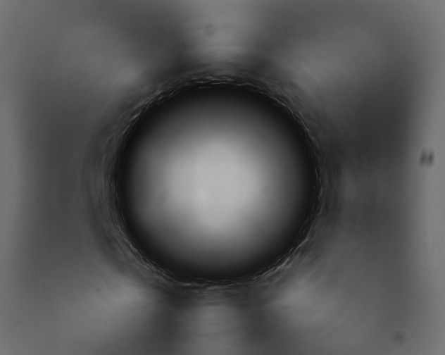 X0000092240769200710051238