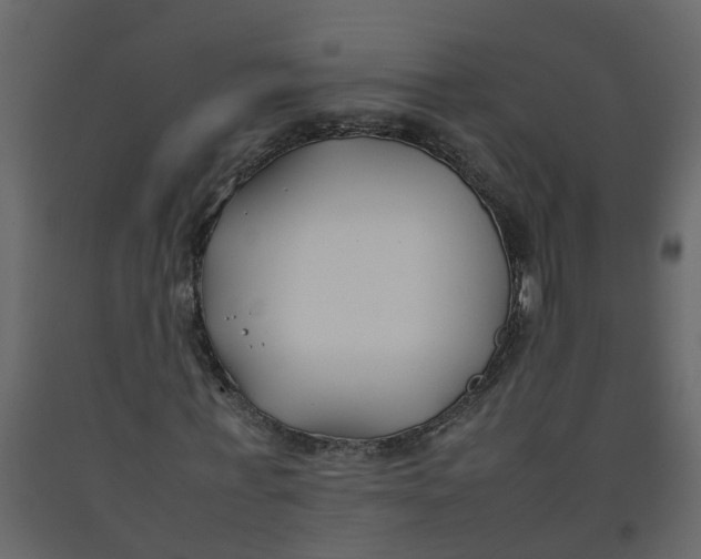 X0000092240771200710051238