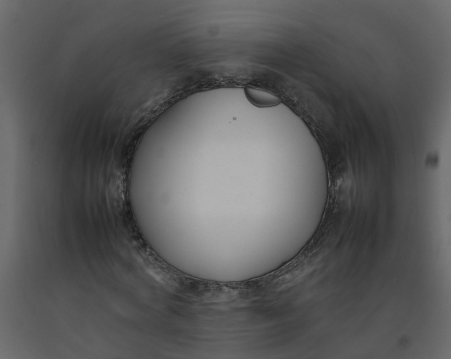 X0000092240772200710051238