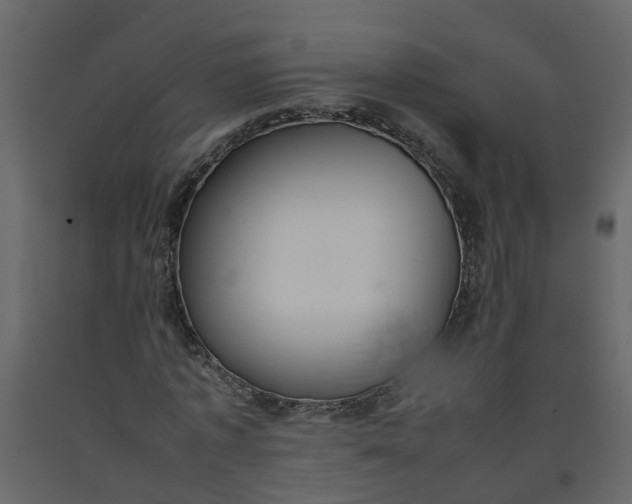 X0000092240773200710051238