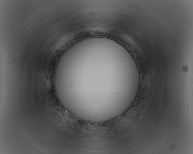 X0000092240774200710051238