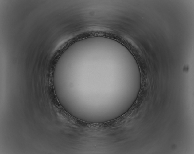 X0000092240775200710051238