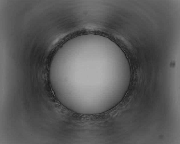 X0000092240776200710051238