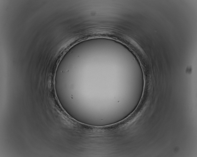 X0000092240777200710051238