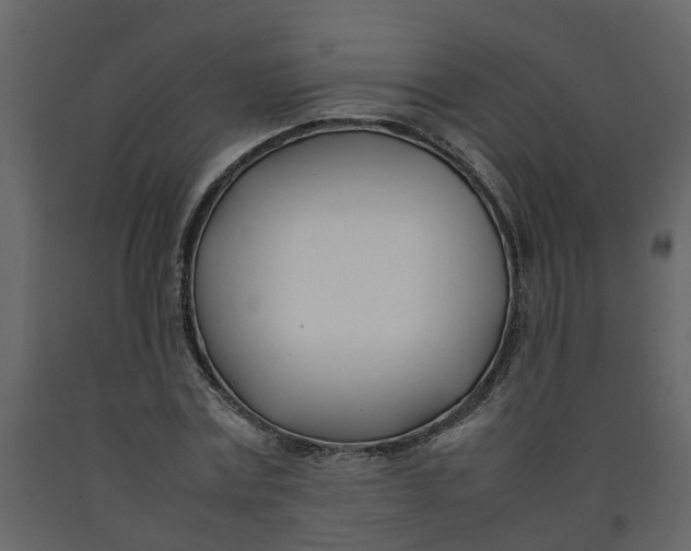 X0000092240779200710051238