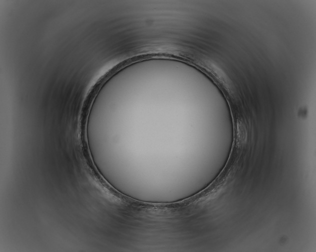 X0000092240780200710051238