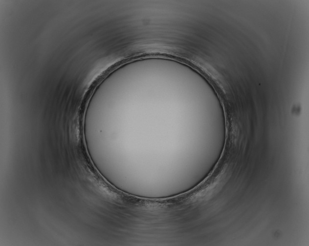 X0000092240782200710051238