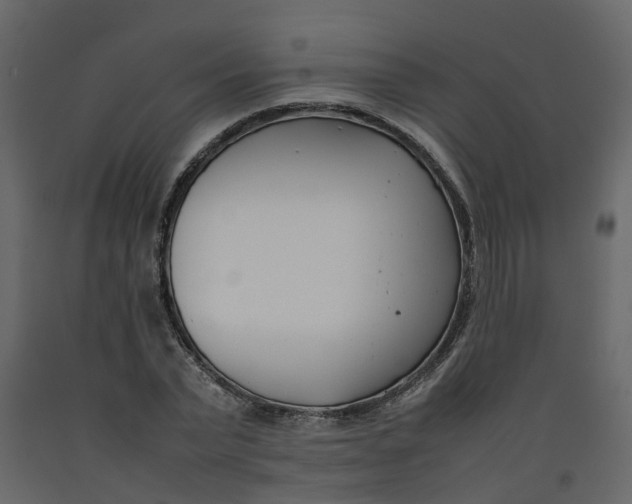 X0000092240783200710051238