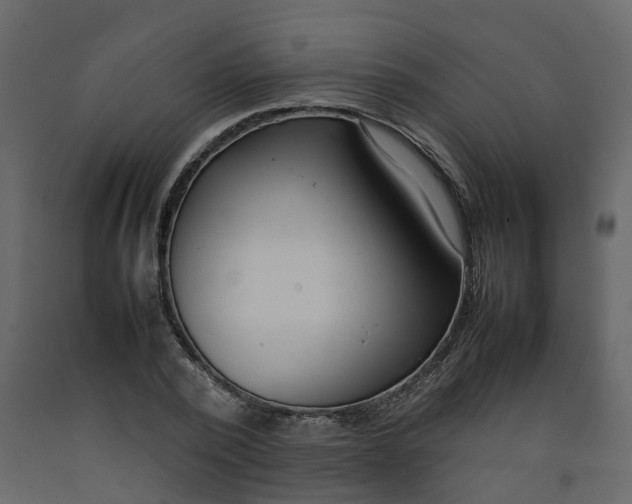 X0000092240784200710051238