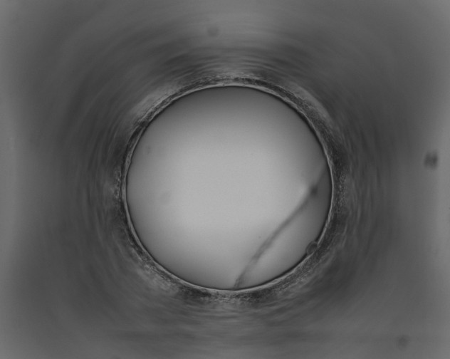 X0000092240785200710051238