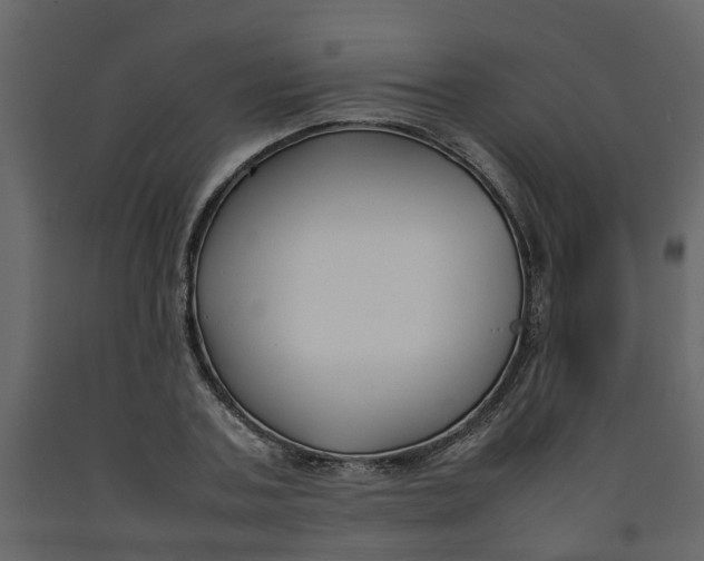 X0000092240787200710051238