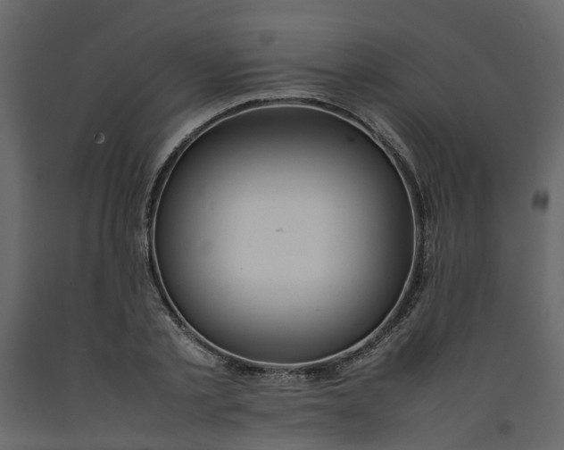 X0000092240789200710051238