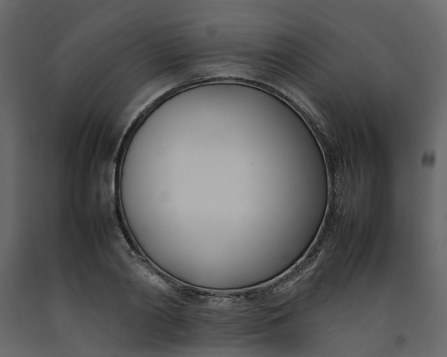 X0000092240790200710051238