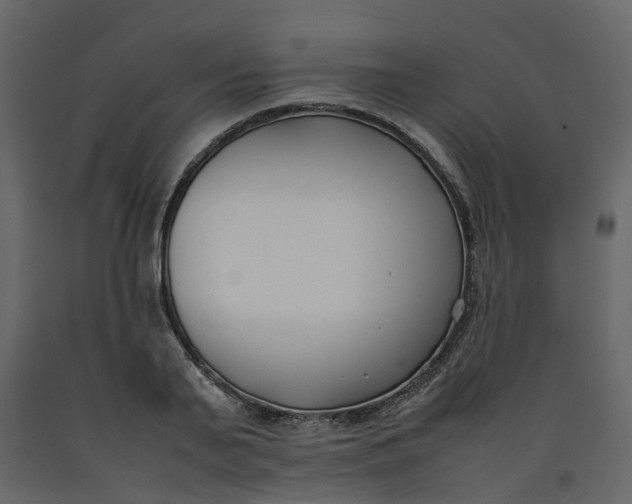 X0000092240791200710051238