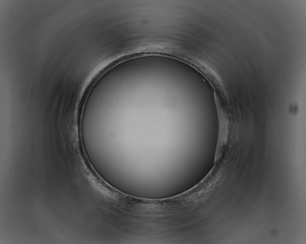 X0000092240792200710051238