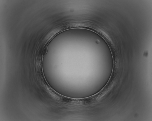 X0000092240793200710051238