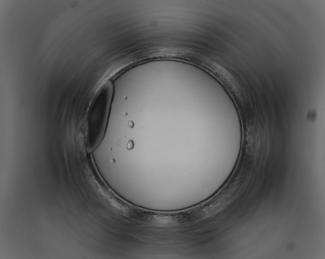 X0000092240794200710051238