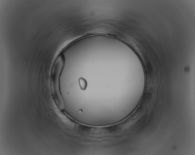 X0000092240795200710051237