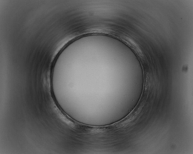 X0000092240796200710051237