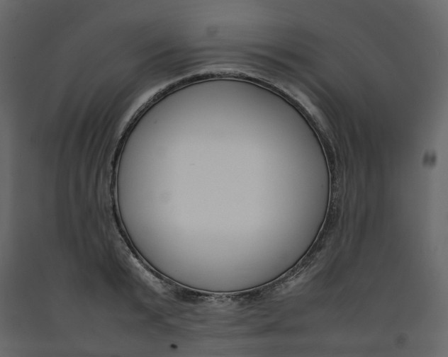 X0000092240799200710051237